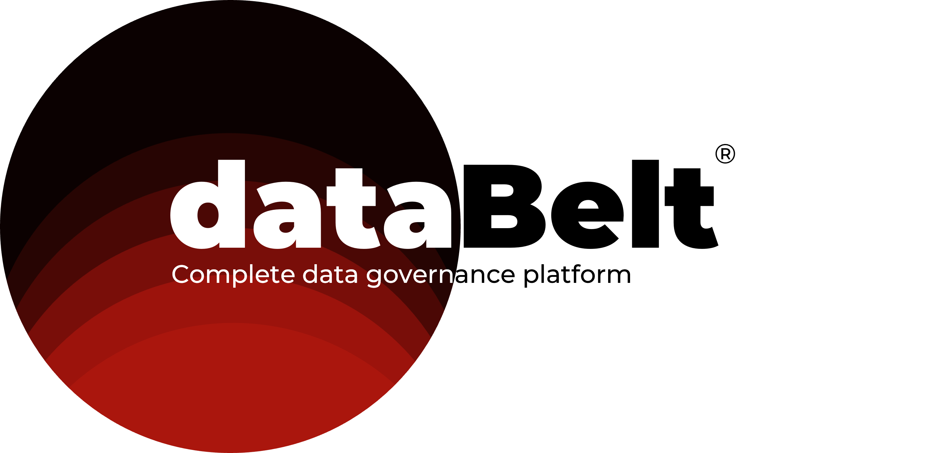 databelt logo bi colour.png