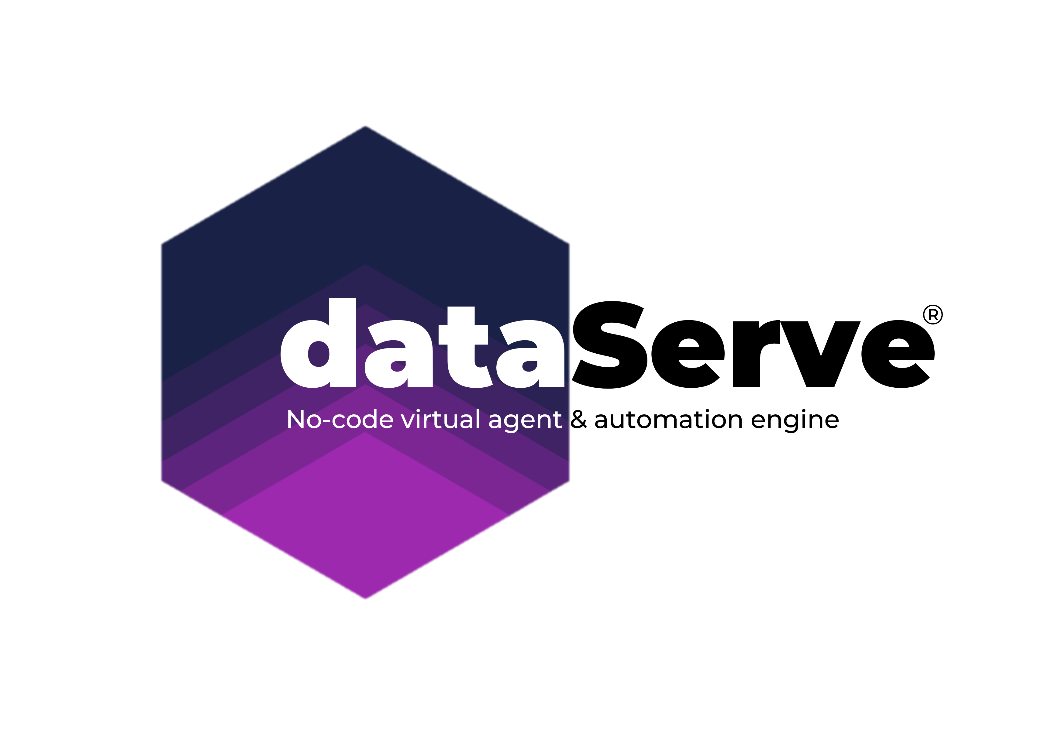 dataserve logo bi colour.png