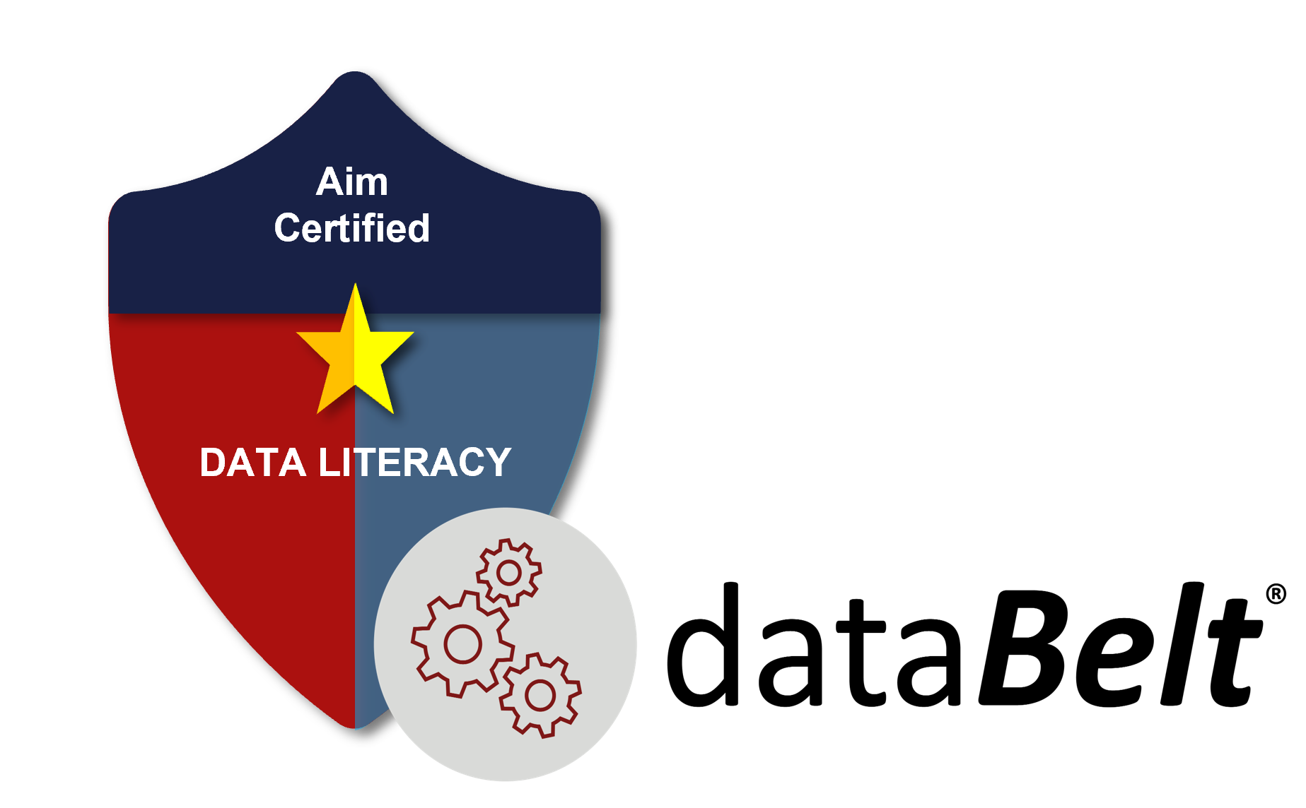 DATA literacy shield and dataBelt.png