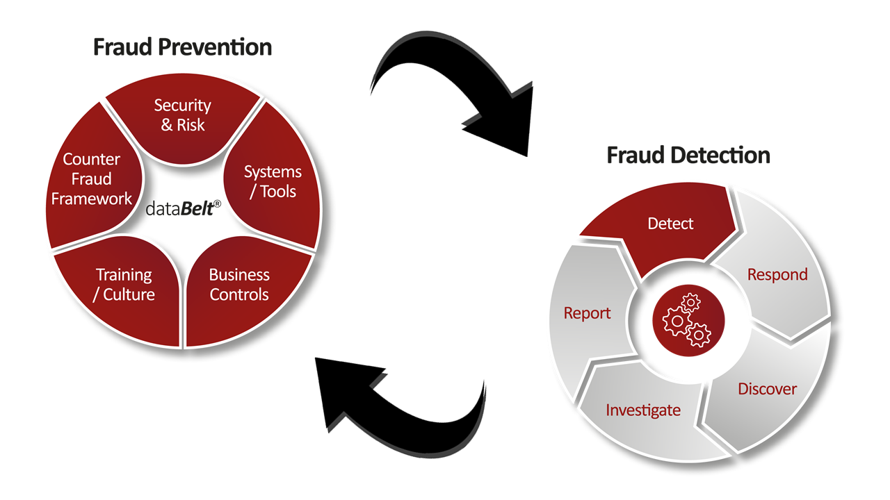 counter fraud databelt diagram.png
